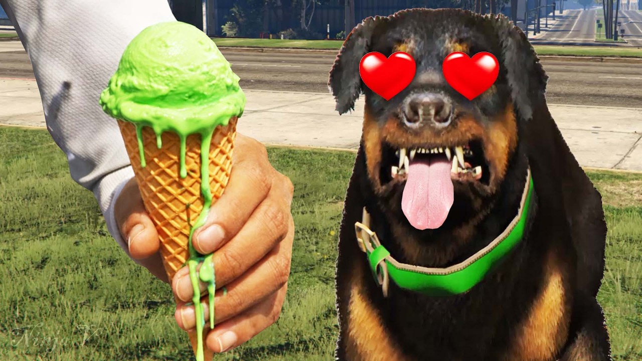 Chop LOVES Ice Cream! (GTA 5)