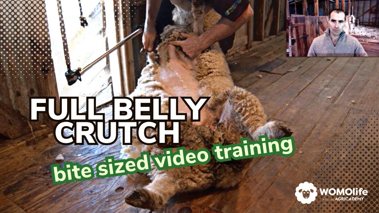 FULL BELLY CRUTCH - online training