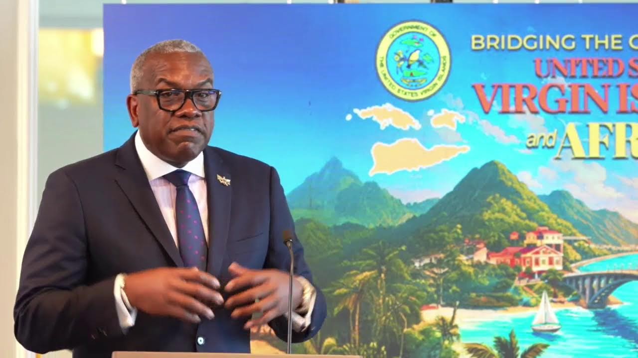 USVI-Africa Mini-Summit