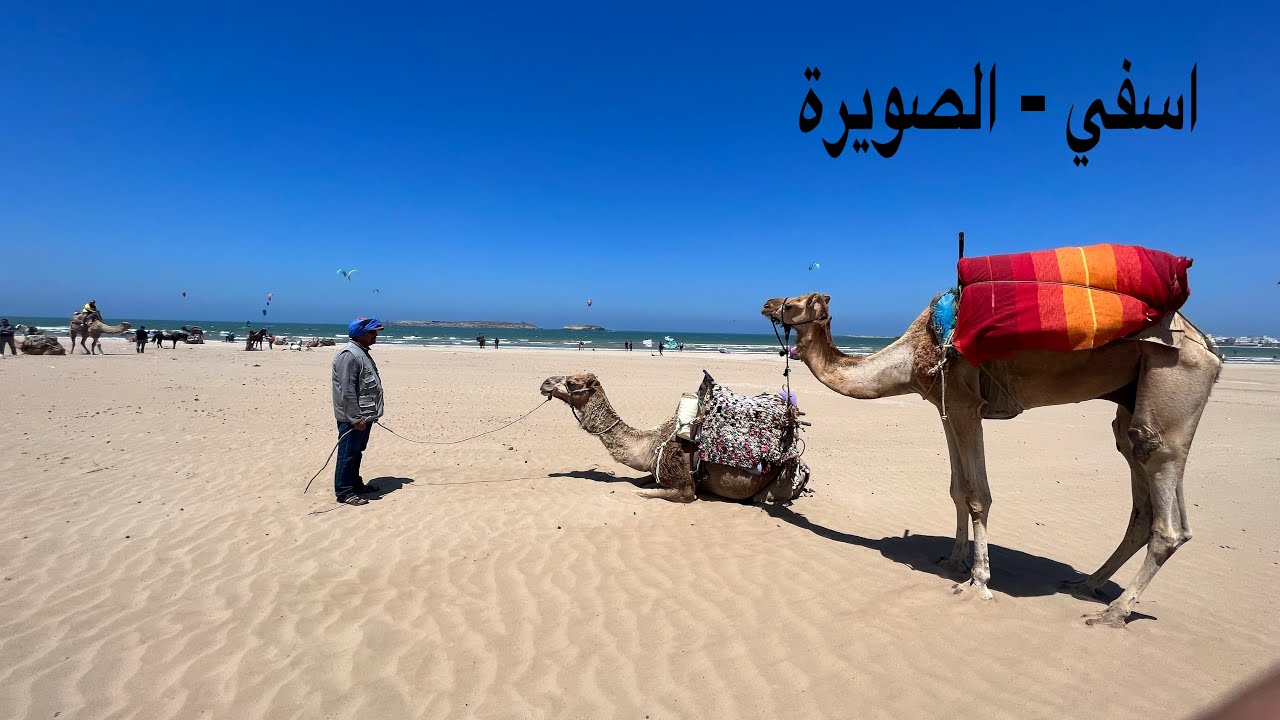 ( 142 ) رحلة الى المغرب ( اسفي - الصويرة ) 6/ 2023 طريق الساحلي الجميلة الجزة 4