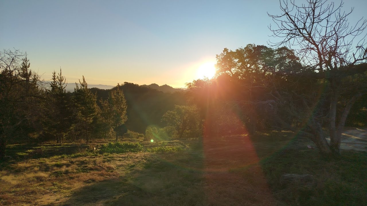 1/2/26 Huerta 🌱 Cicloazada para las habas 🫘 en secano 🧑‍🌾 Gloria bendita! 🙏
