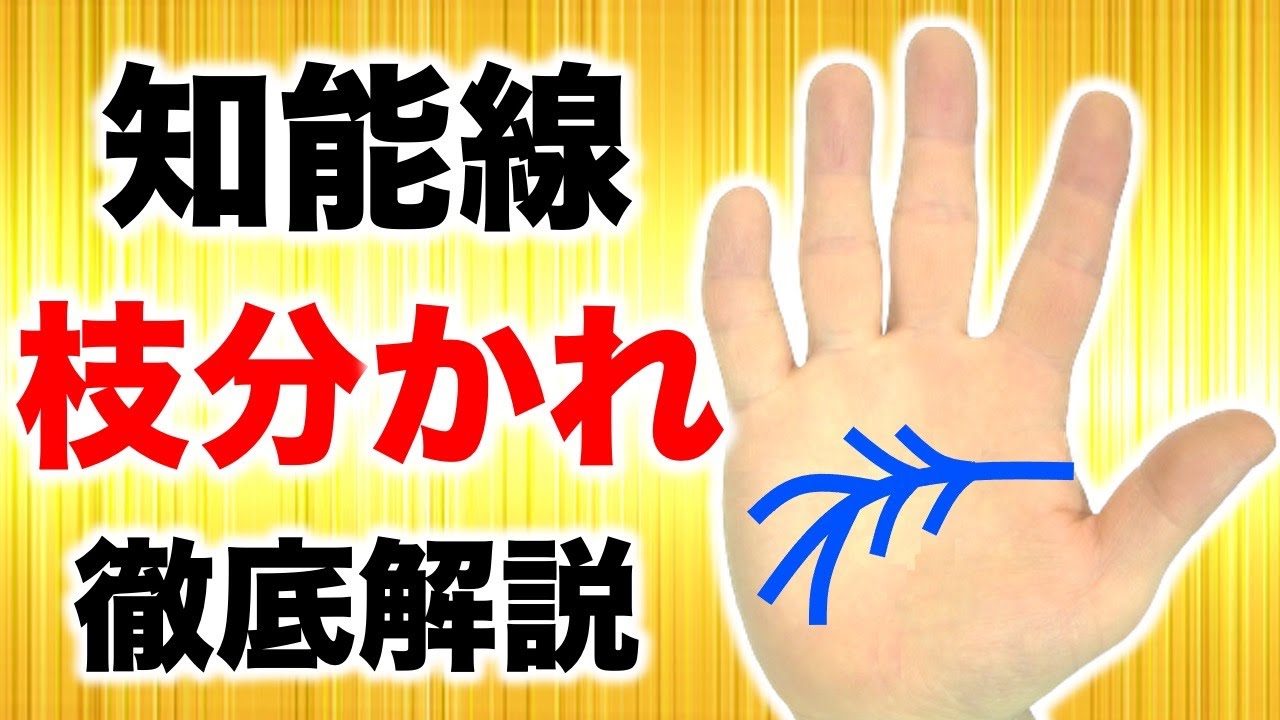 【手相】２股になっている？枝分かれ知能線(頭脳線)がある人