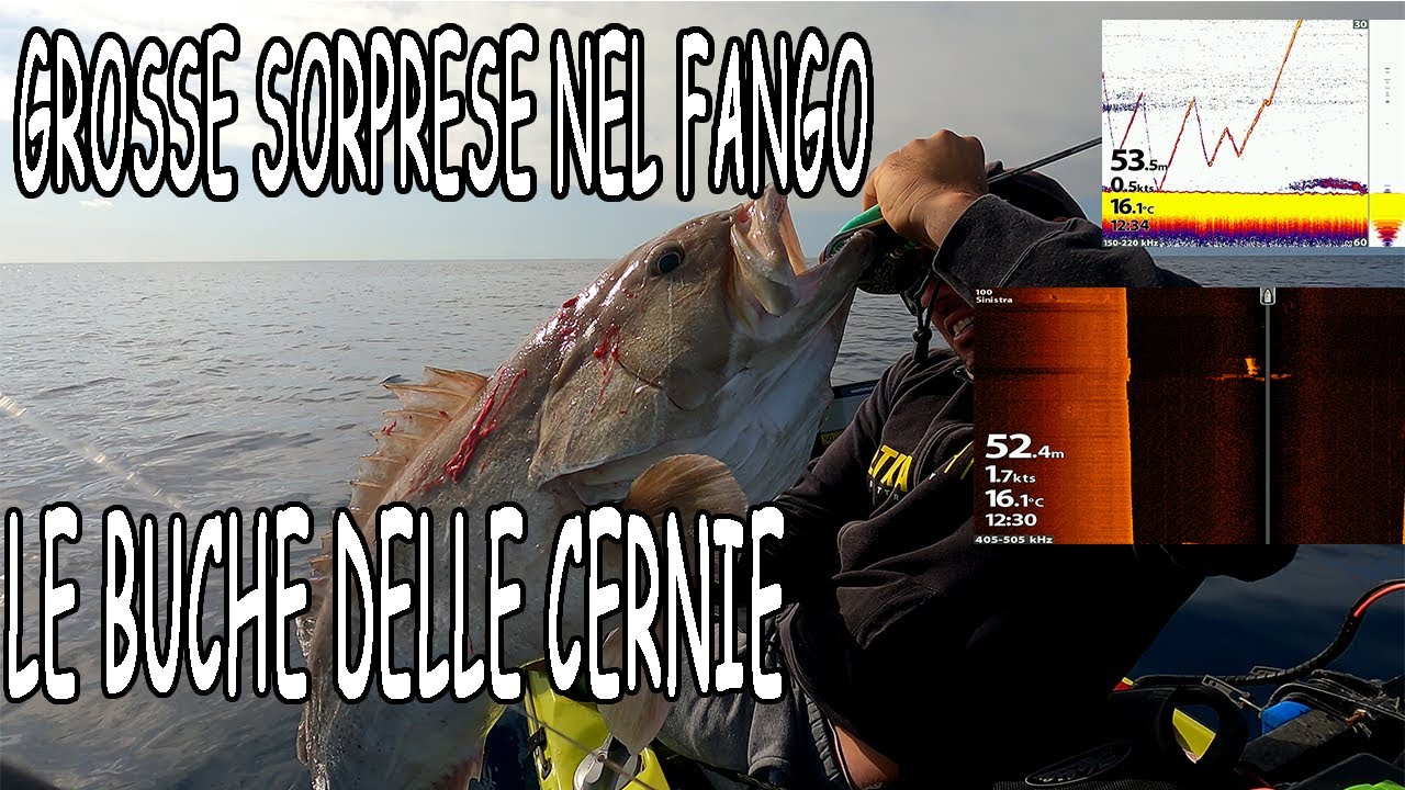 GROSSE SORPRESE NEL FANGO- LE BUCHE DELLE CERNIE BIANCHE