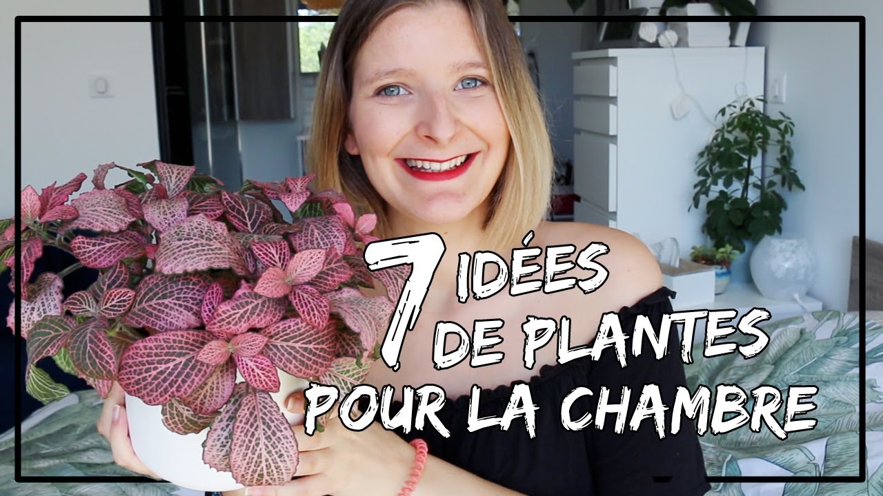 7 idées de plantes pour la chambre à coucher