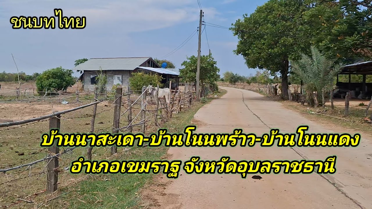 เส้นทางชนบทอีสานใต้ หน้าแล้ง บรรยากาศดีสวยงามสุดๆ #ชนบทไทย