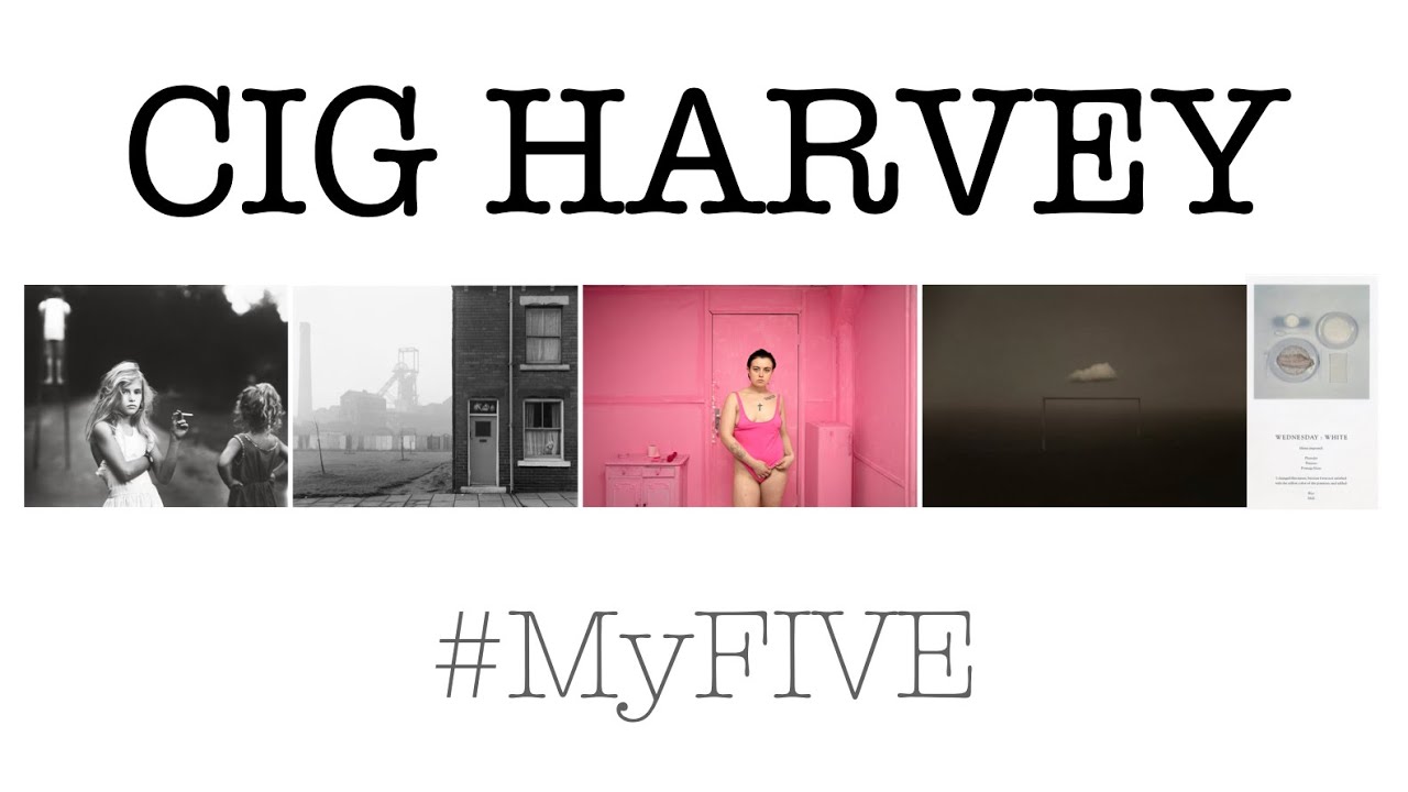 Cig Harvey   MyFIVE