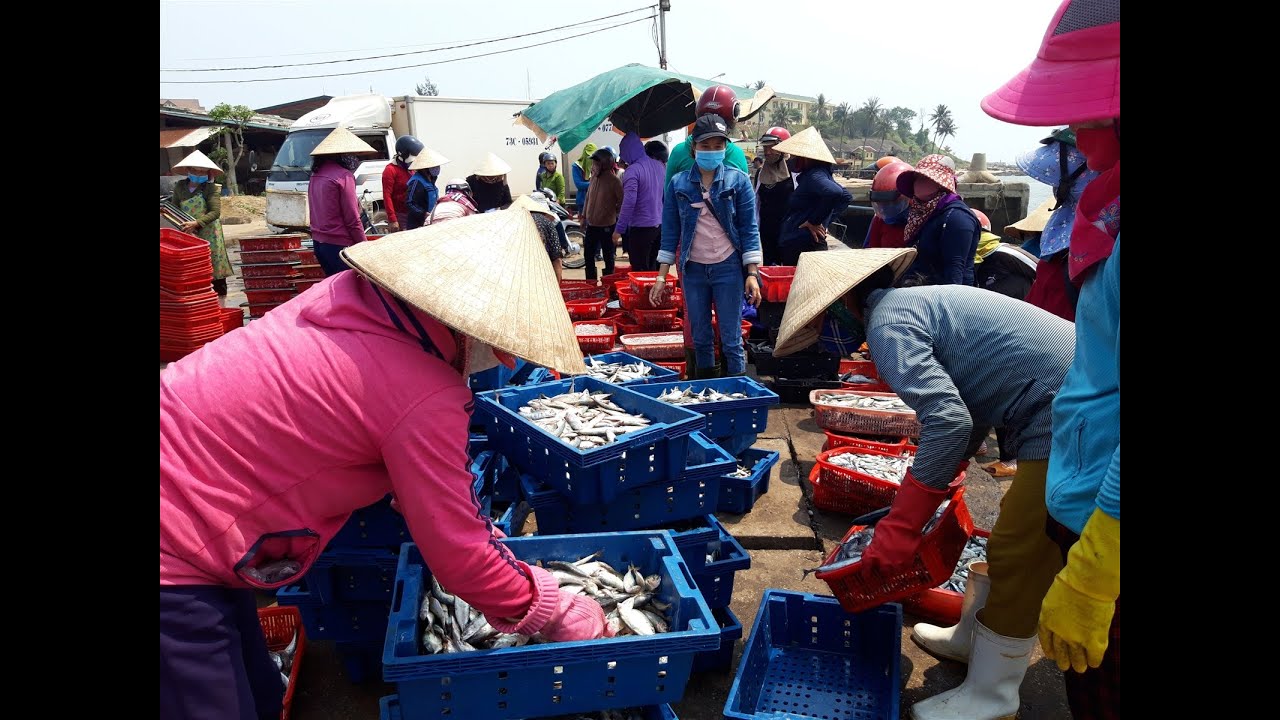 QUẢNG TRỊ ĐIỂM ĐẾN: CHỢ CÁ CỬA TÙNG | Truyền Hình Quảng Trị