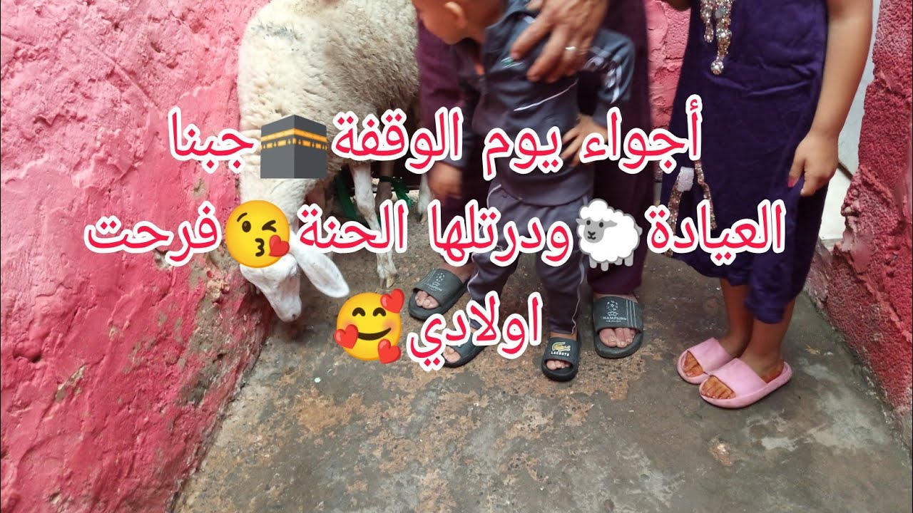 أجواء وقوف عرفة🕋روتين شتوي🌧️ جبنا العيادة🐑فرحت اولادي😘جات عزوجتي وجا بويا شافوها🥰فرحت العيد ❤