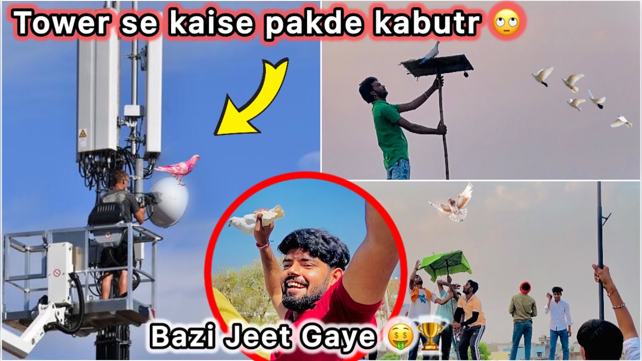 Finally Bht Badi Bazi Jeet Gaye 🤑 || Tower se pakdna pada kabutar 😮
