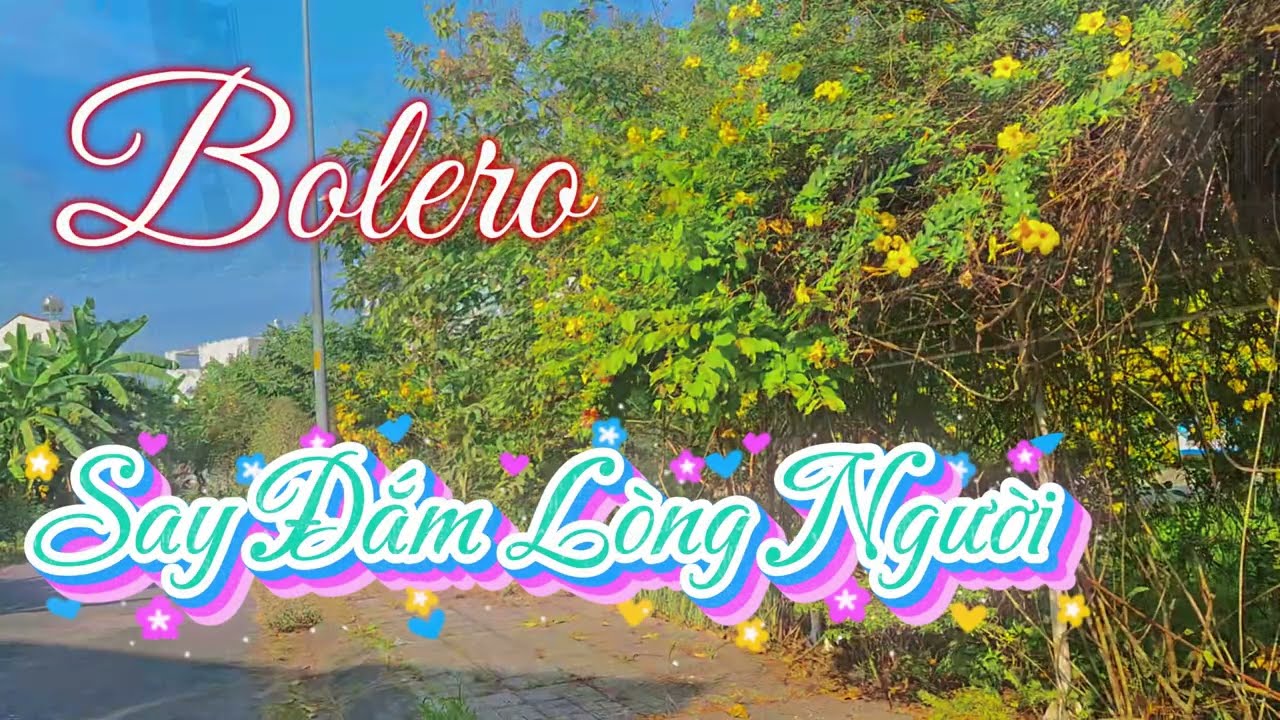 LK Nhạc Trữ Tình Bolero KHÔNG QUẢNG CÁO nghe là Phê - tuyệt phẩm ngọt ngào
