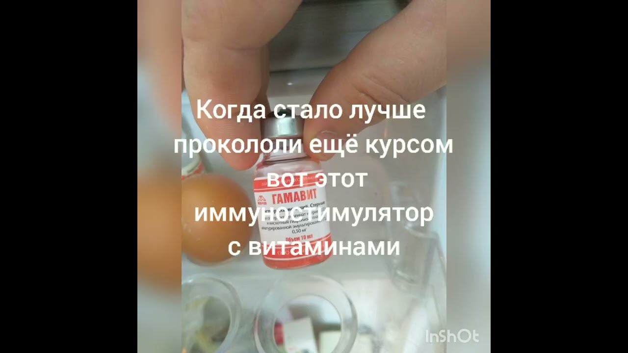 лечение нашей собачки Р.Е.Л.ки от чумки