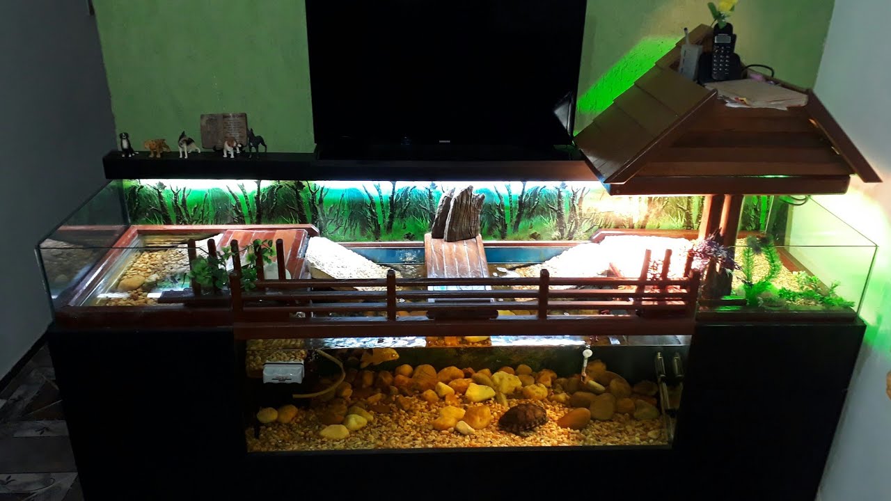 Montando meu Aquaterrário