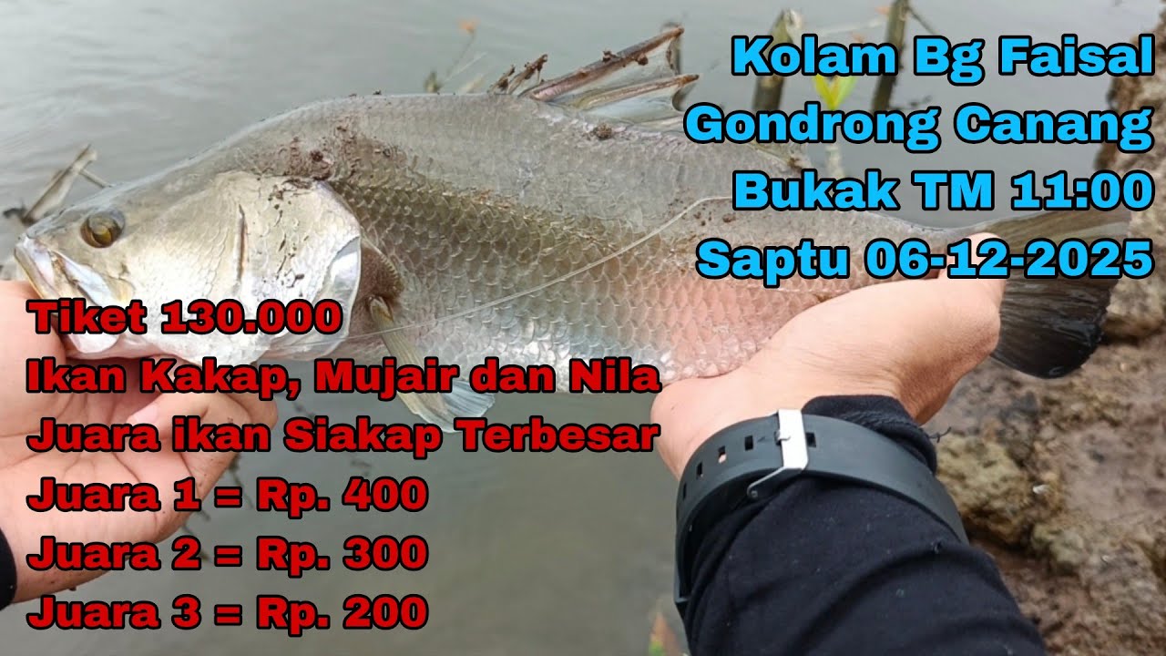 TM Perdana Kolam Bg Faisal Gondrong Canang, Saptu 06-12-2025 || Tiket 130.000