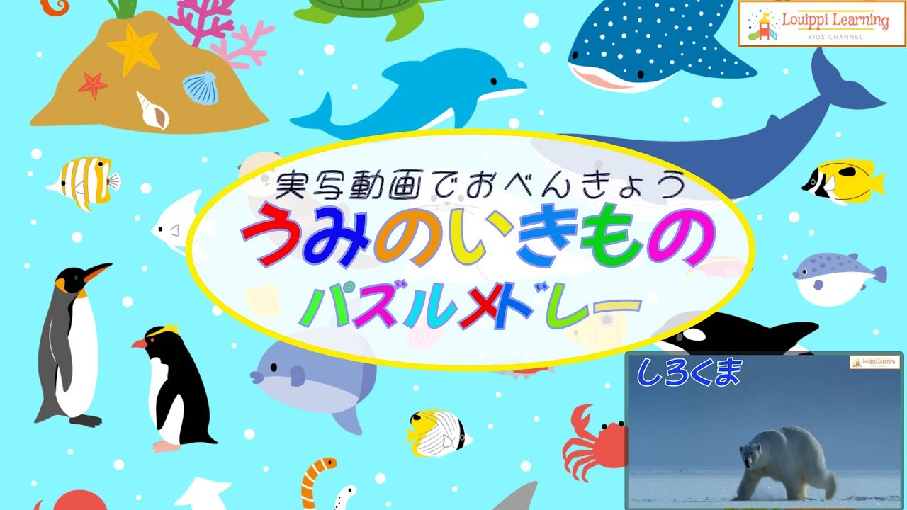 【うみのいきもの パズル  メドレー】海の生き物 を 日本語 で覚えよう 赤ちゃん泣き止む 子供が喜ぶ 知育動画 フラッシュカード 実写動画  Seaanimals quiz Animation