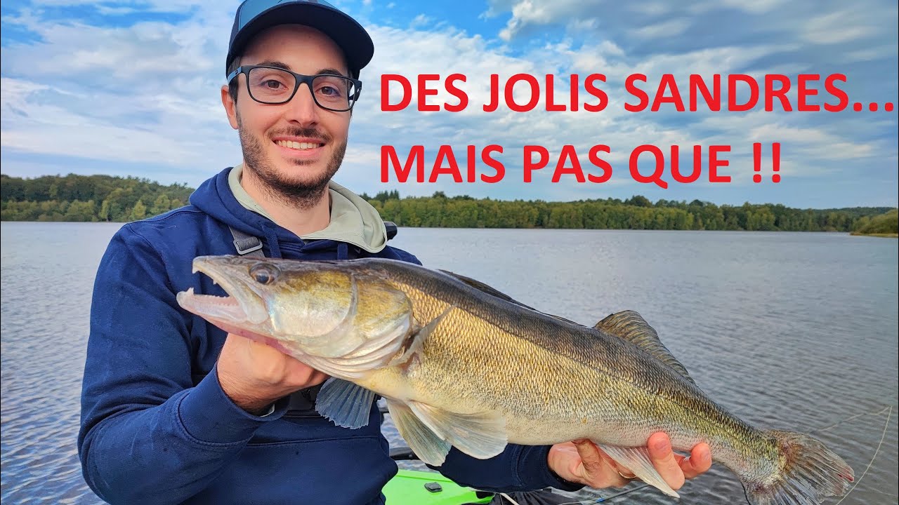 Pêche du SANDRE en LINÉAIRE aux LEURRES - ILS SONT ACTIFS !!