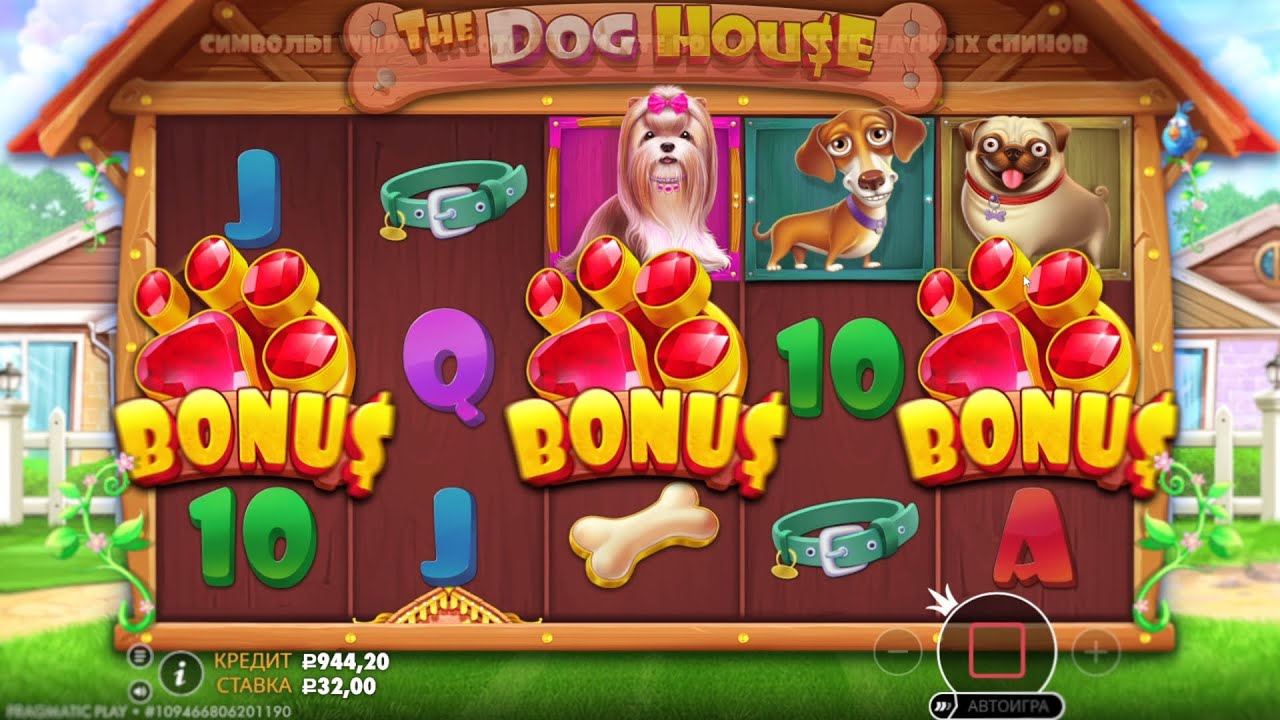 ЗАНЁС С 1000 РУБЛЕЙ В СОБАКАХ! ИДЕАЛЬНАЯ СЕССИЯ В DOG HOUSE!