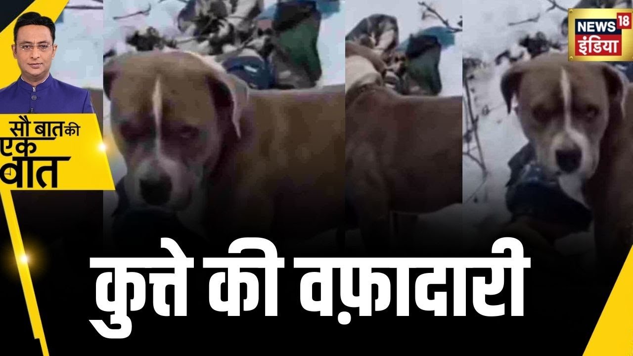 Kishore Ajwani : Himachal Pradesh के Chamba में Snowfall के बावजूद क्यों नहीं भागा Dog? |Viral Video