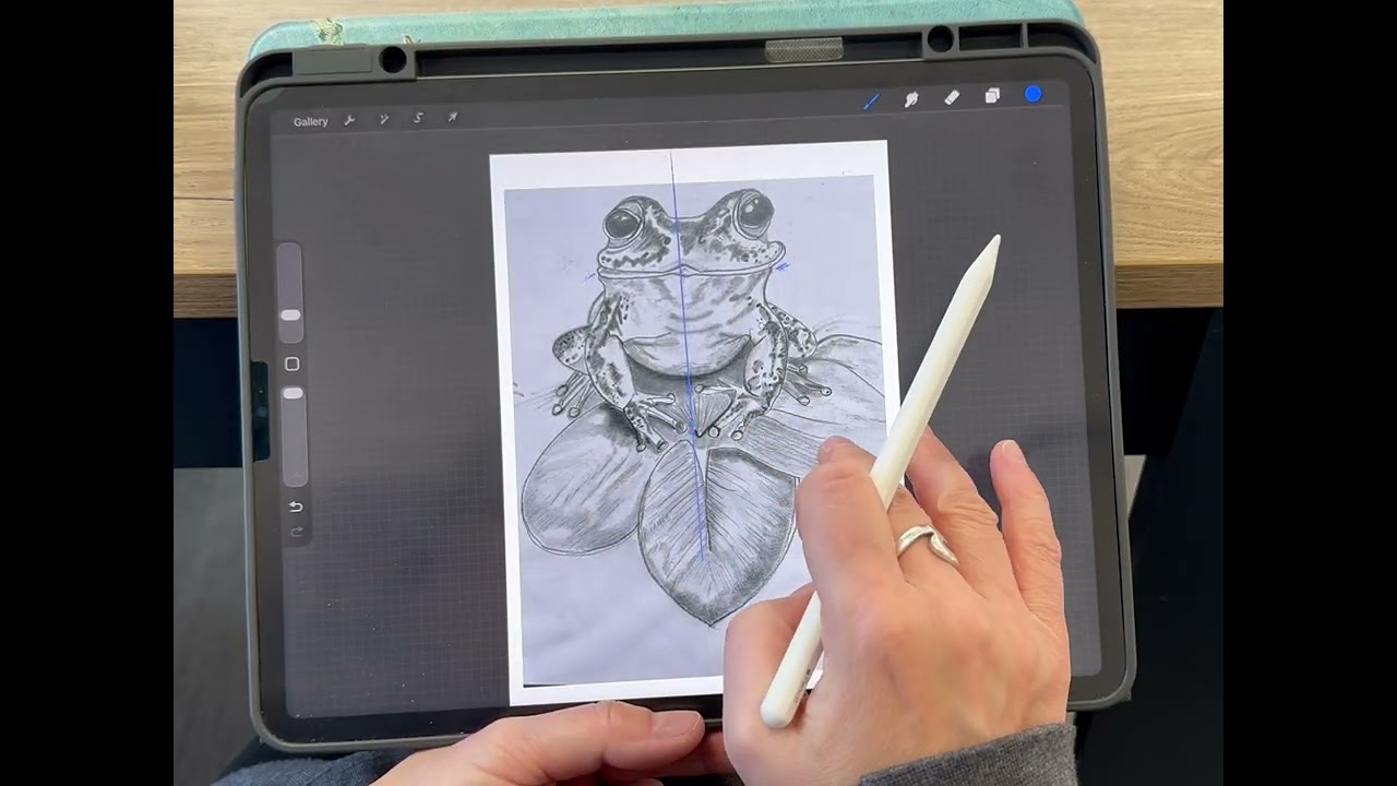 Learn to Draw Feedback Video