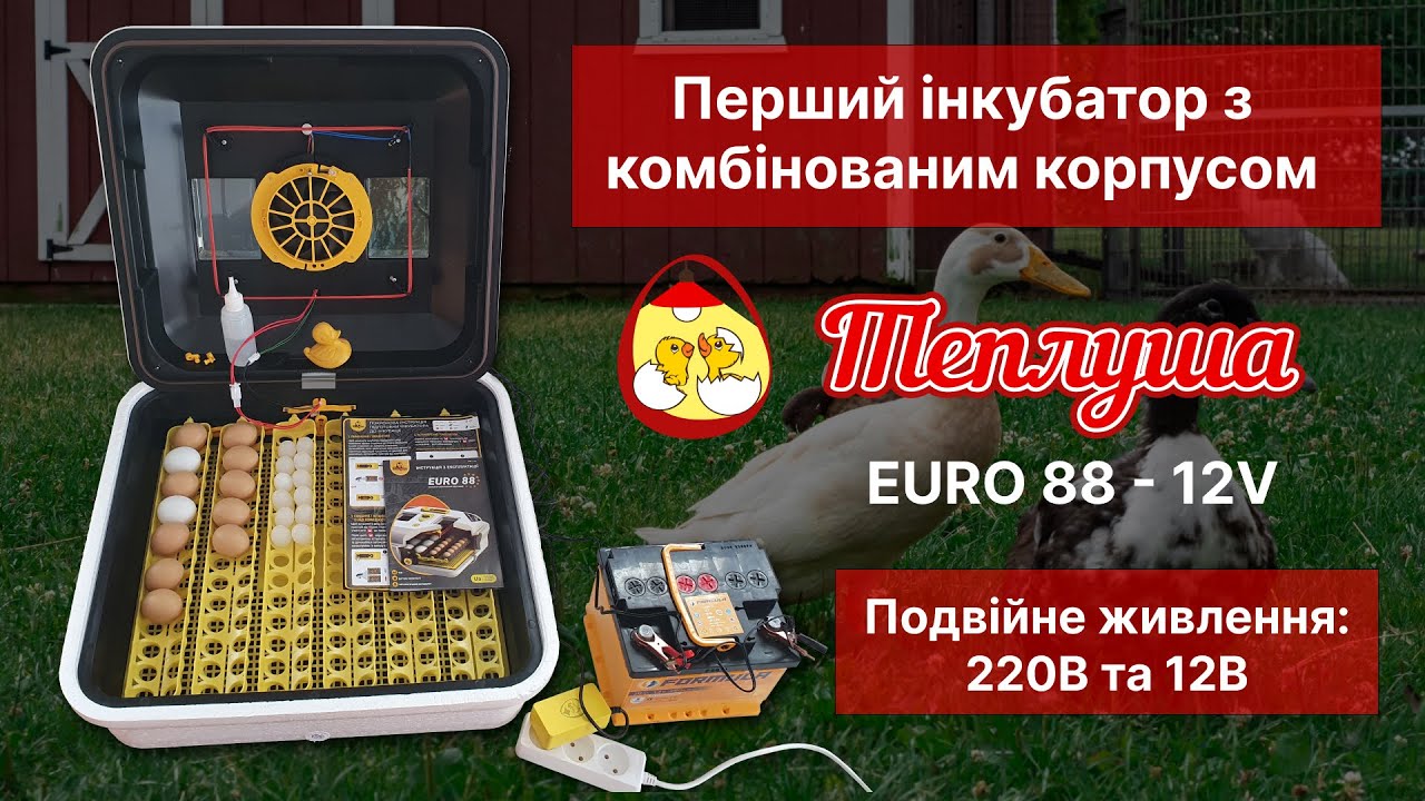 Інкубатор Автоматичний Теплуша Euro 88 ТАВ 12/50 комбінований корпус! Новинка! Розпаковка і огляд