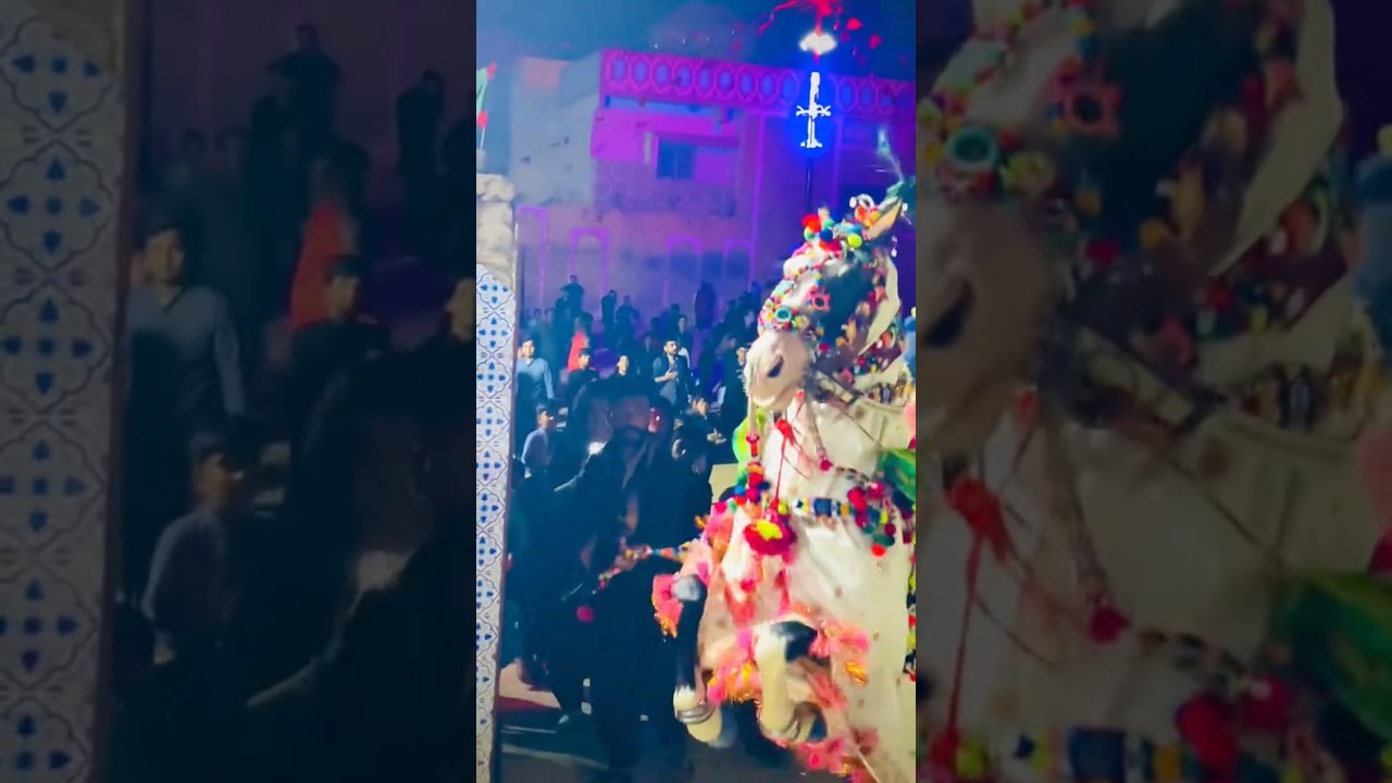 zuljanah videos Zuljanah Procession | Muharram 2026 Vlog #trending #shorts #horse #army