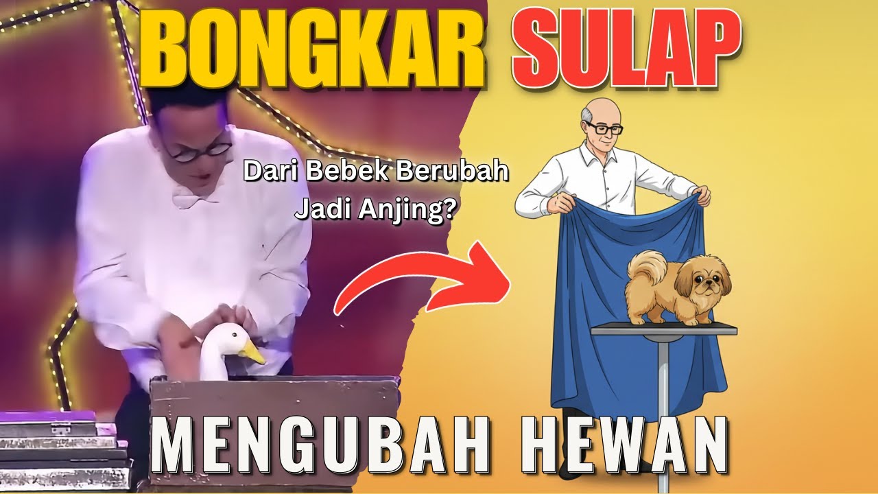 Terbongkar! Rahasia Trik Sulap Mengubah Bebek Jadi Anjing