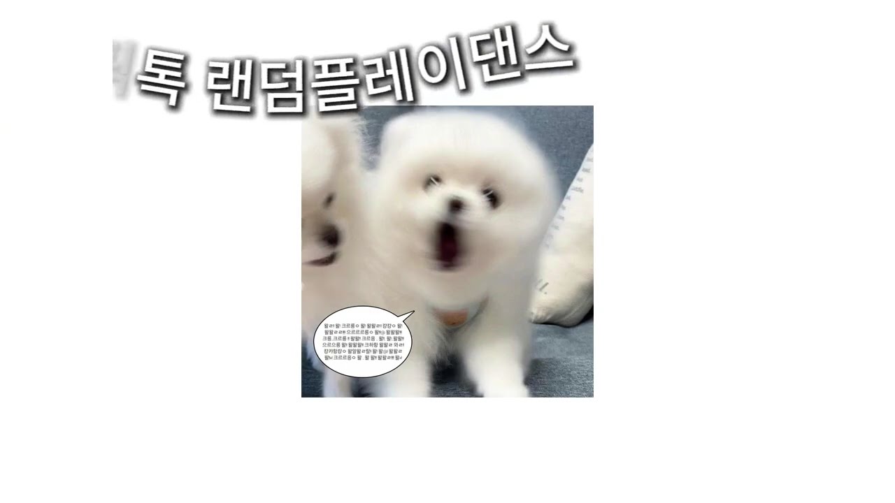 2026 틱톡 랜덤플레이댄스💖지금 제일 핫한 춤 모음!#틱톡랜덤플레이음원#2026틱톡#틱톡랜플#틱톡#랜플🖤