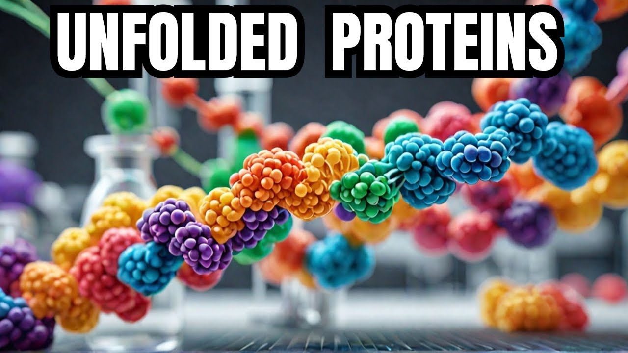 Unfolded Yet Functional: The Secret Life of Flexible Proteins