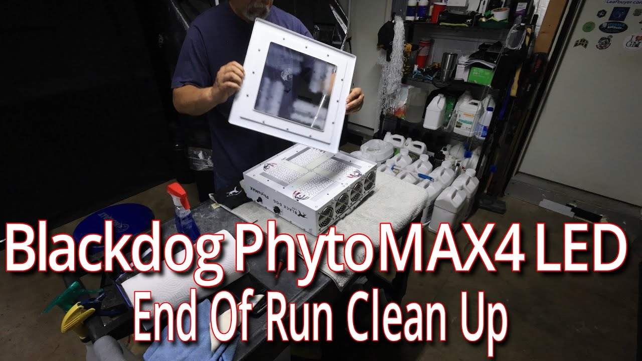 Blackdog PhytoMAX4 LED Очистка после цветения.