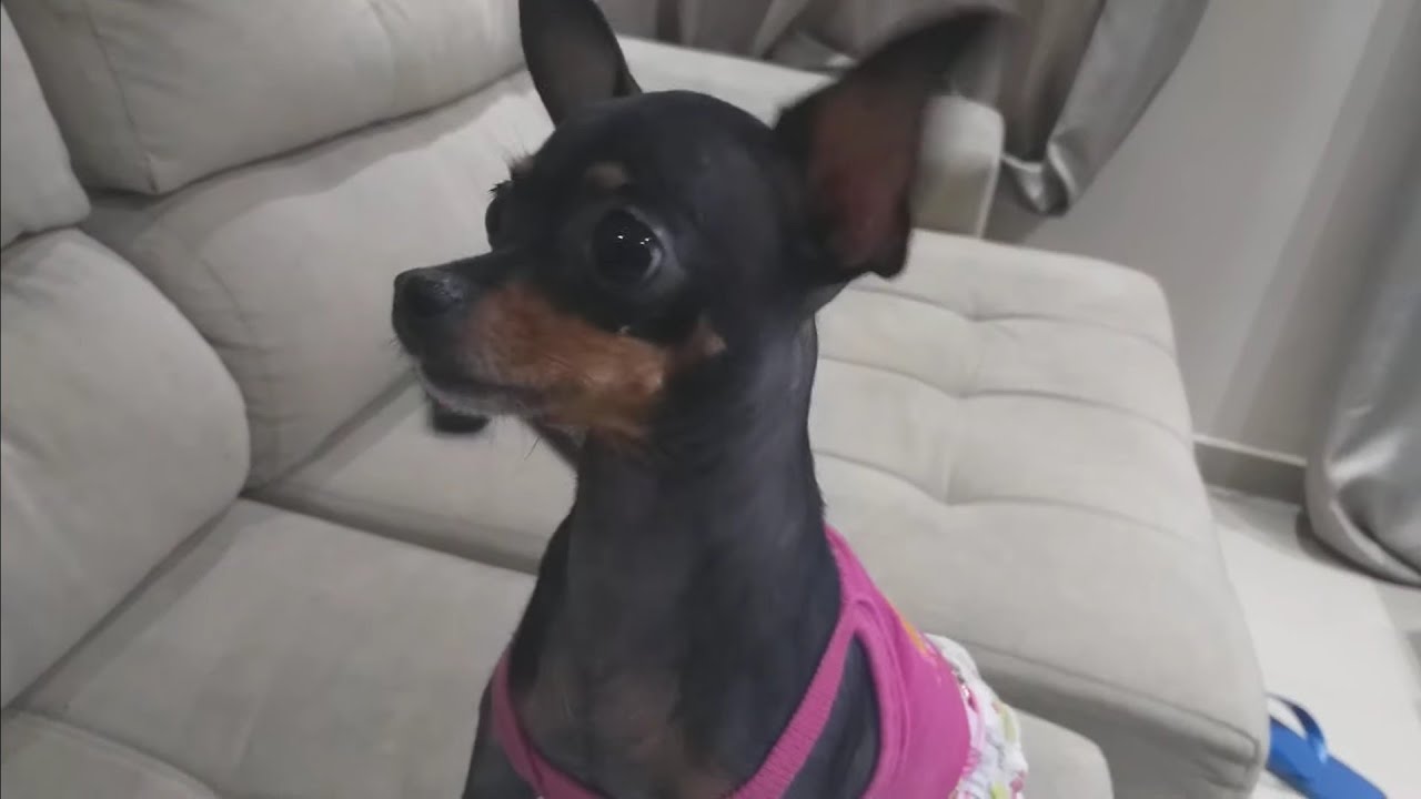 A hora em que o amor acaba...🤭