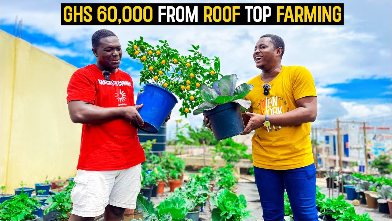 How He Makes GHS 60,000(USD5042.02) Farming Habaneros and Vegetables From His Roof Top Farm in Ghana