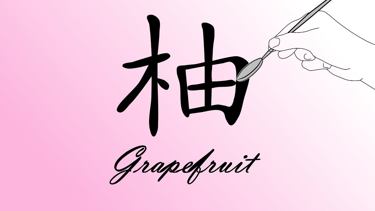 How Chinese Characters Work