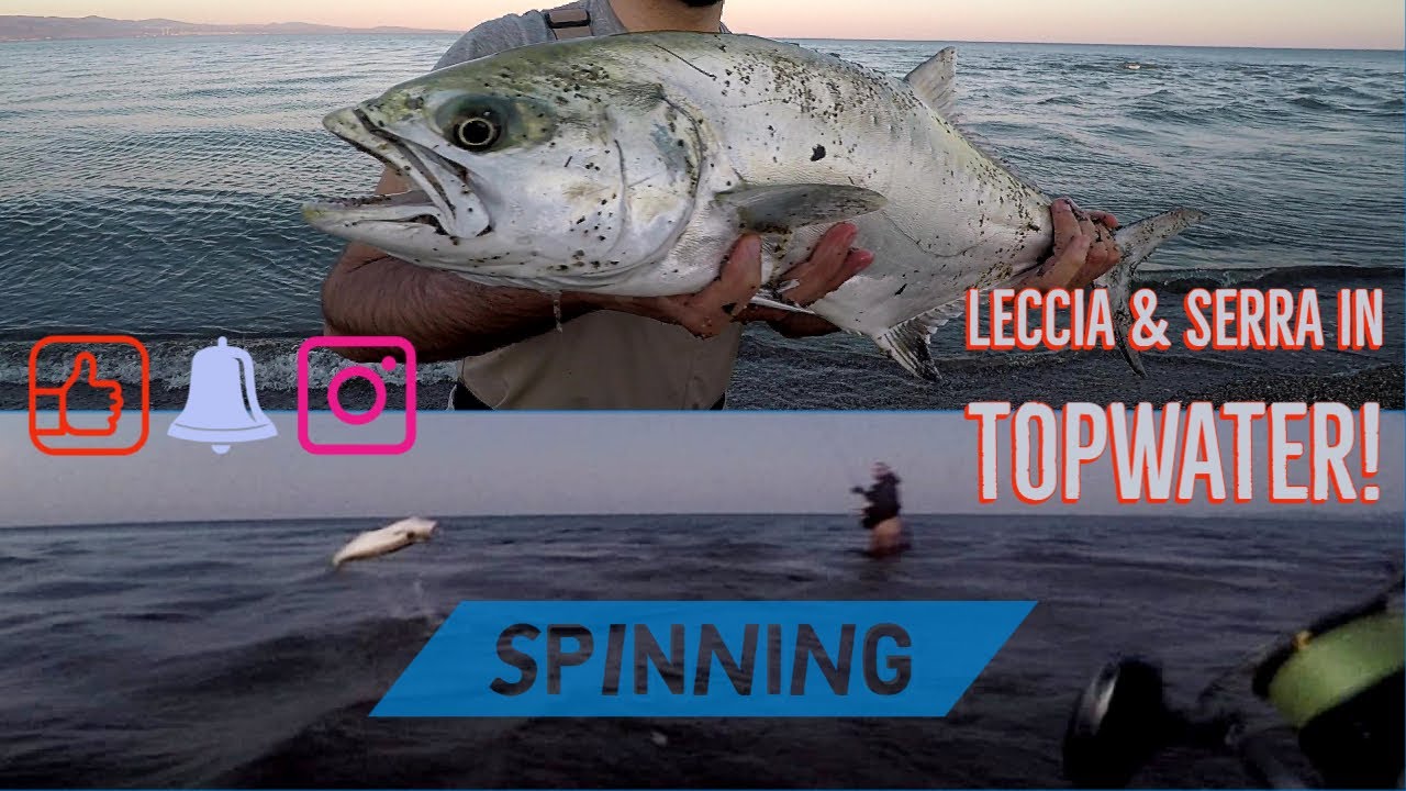 LECCIA AMIA e SERRA in agguato nella corrente! Spinning TOPWATER - clipangler