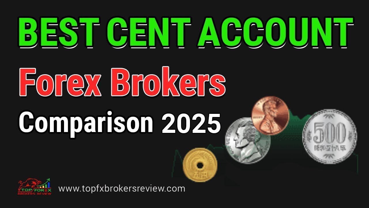 Best CENT ACCOUNT Forex Brokers Comparison in 2025 | Cent Forex Brokers