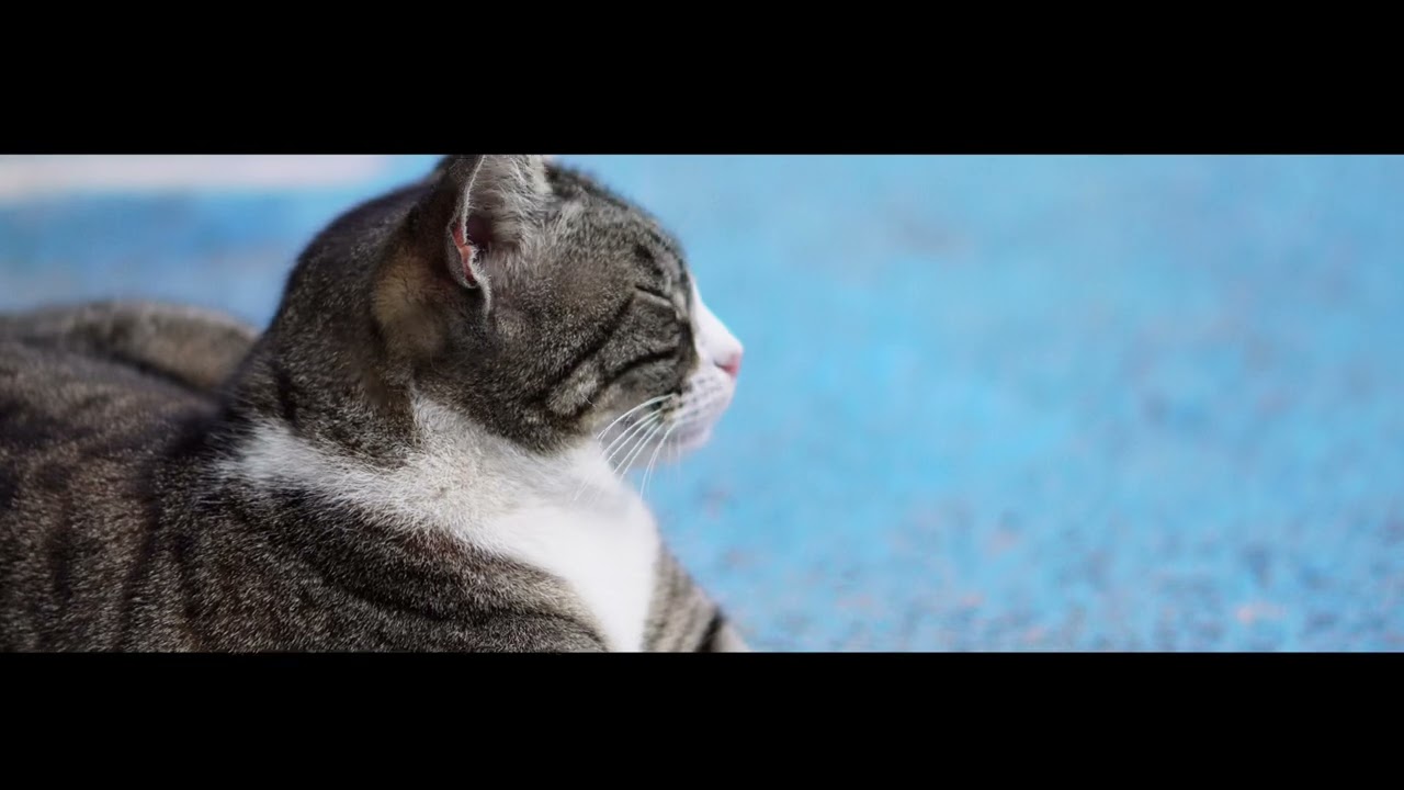 Spain. Benidorm. Mini film.