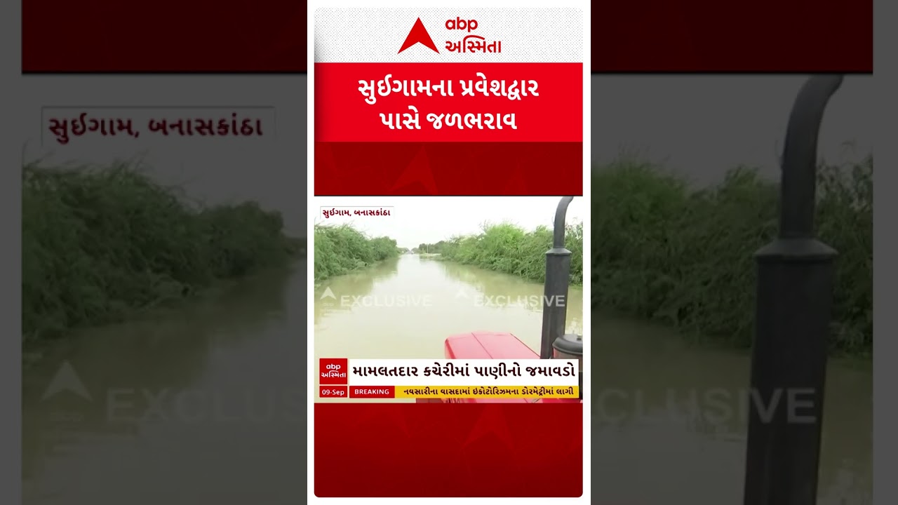 Suigam Banaskantha Flood |  સૂઇગામના પ્રવેશદ્વાર પાસે જળભરાવ, જુઓ શોર્ટ વીડિયો