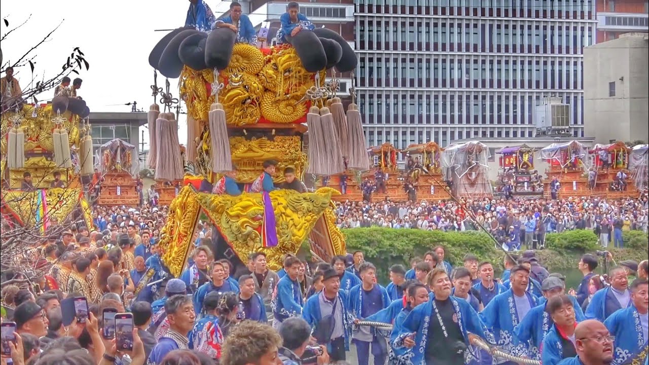 西条祭り2024 御殿前 御輿(みこし) 奉納【喜多濱·朔日市·中西·下喜多川】2024.10.16 愛媛県西条市 伊曽乃神社 祭礼