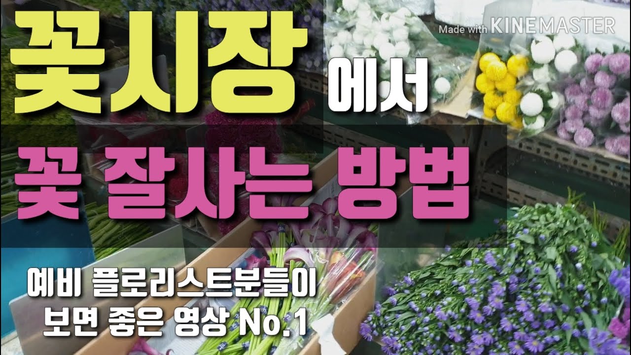 (ENG Sub) [꽃시장]에서 플로리스트처럼 꽃 잘사는 방법♡  _ 꽃집 창업 전 필수 시청 영상