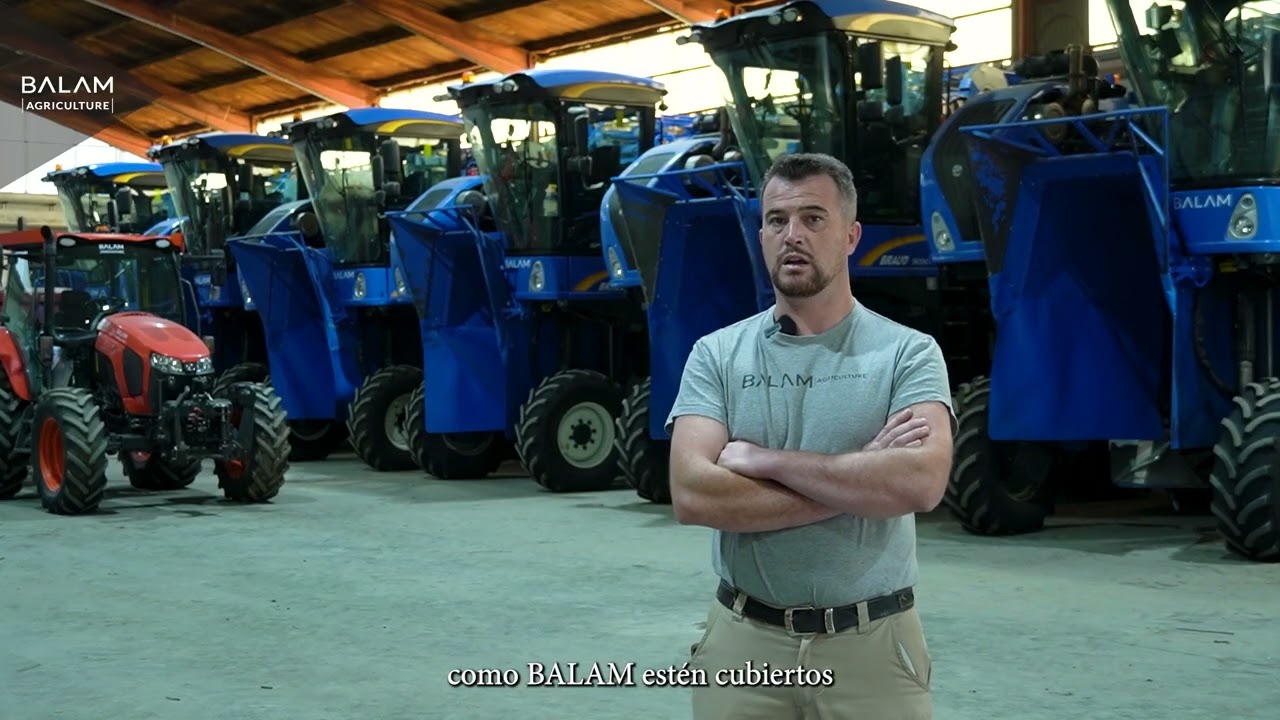 La recolección del olivar | BALAM Agriculture