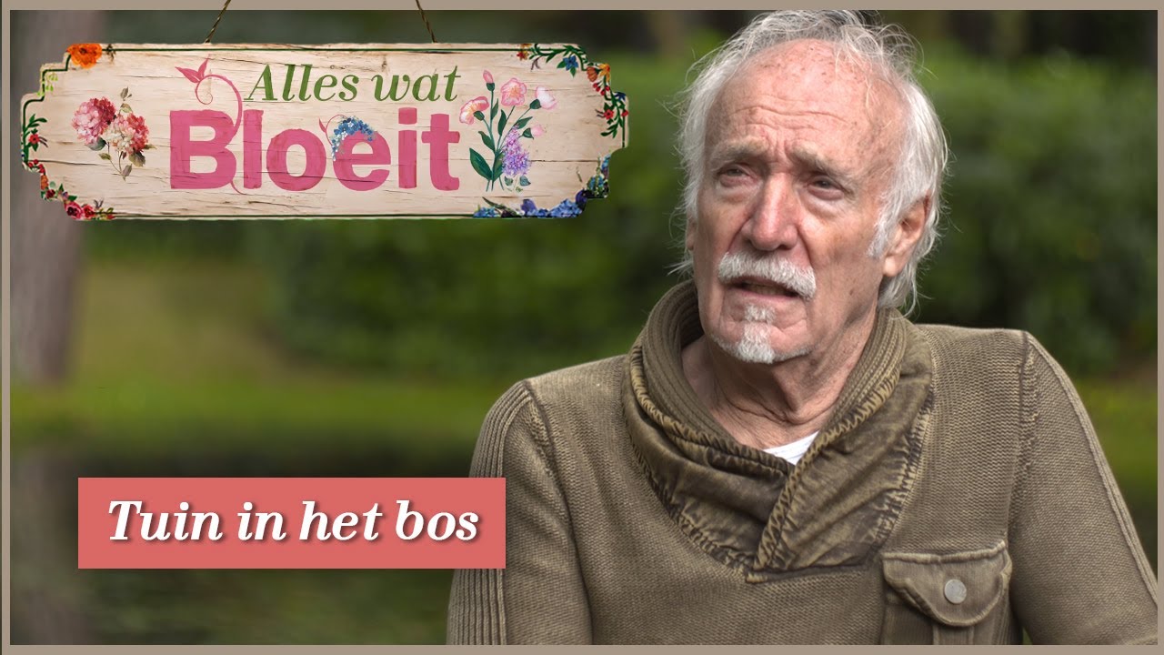 Tuin in het Bos | Alles Wat Bloeit
