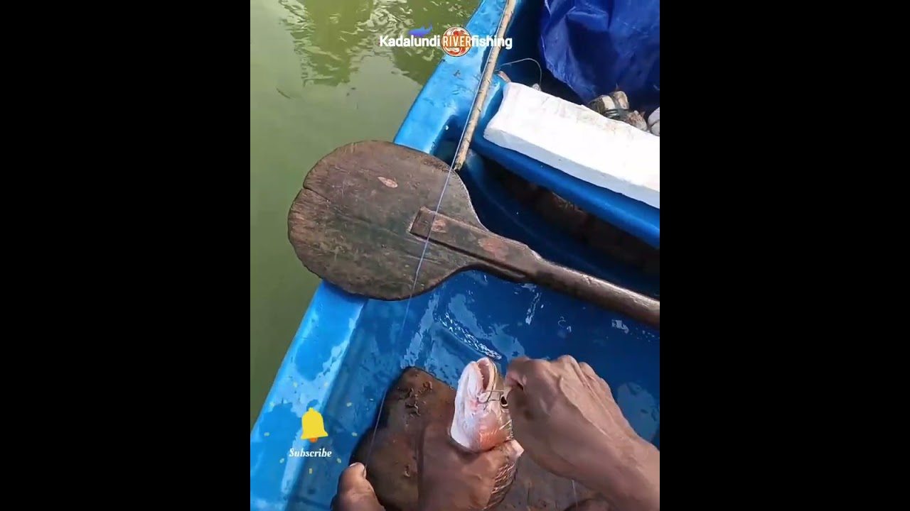 കിടിലൻ ചെമ്പല്ലി വേട്ട 🎣🐠🎣🐠🎣🐠🎣🐠🎣🐠