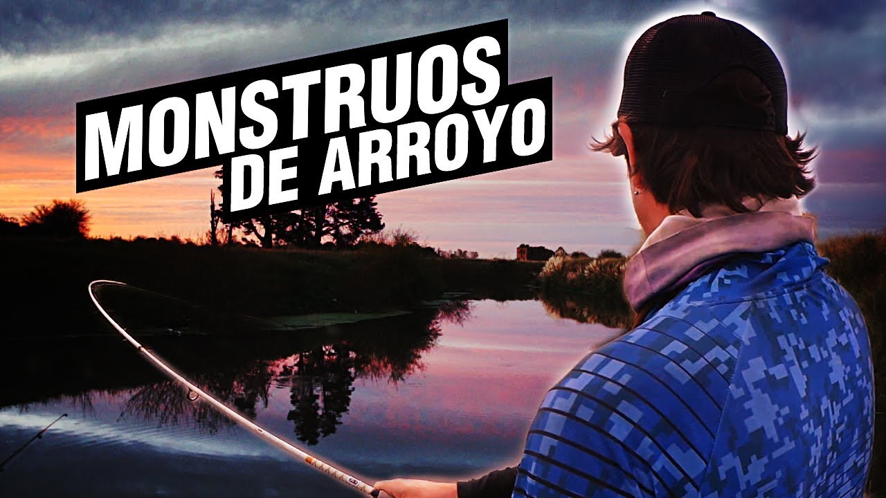 PESCA EN EL ARROYO EN OTOÑO - Consejos y grandes carpas