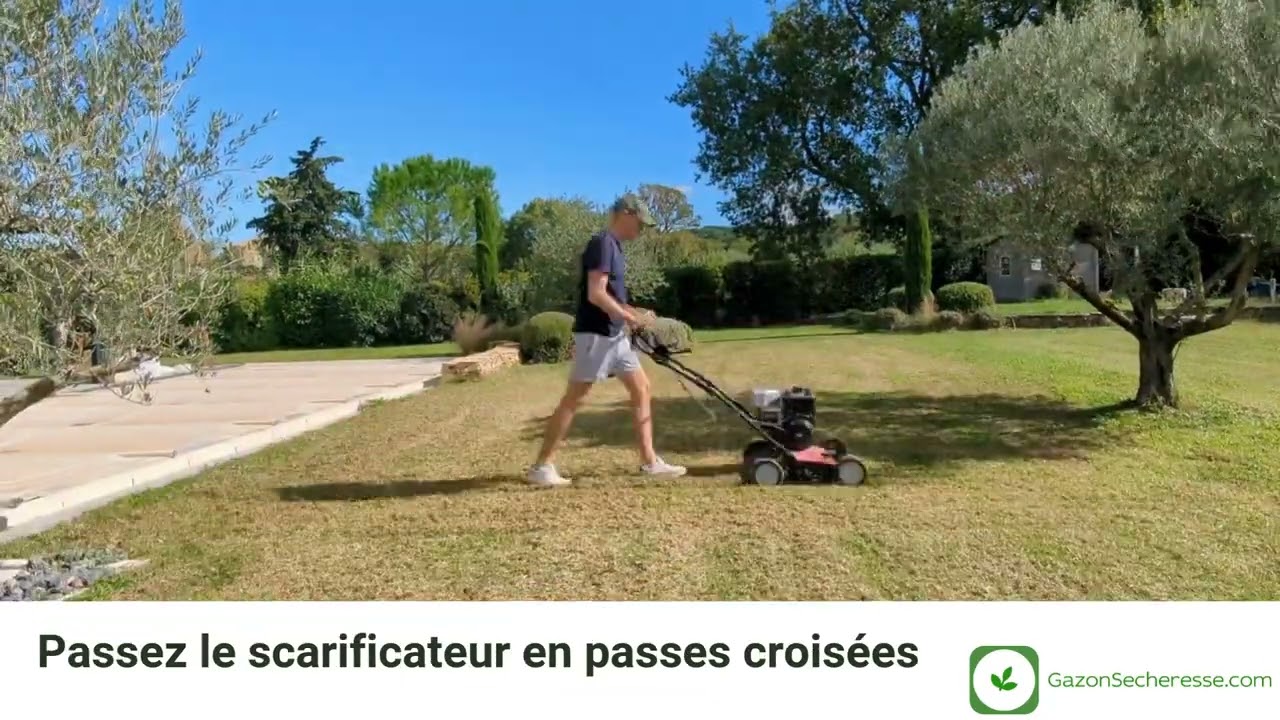 Comment semer un gazon sur une pelouse existante ?