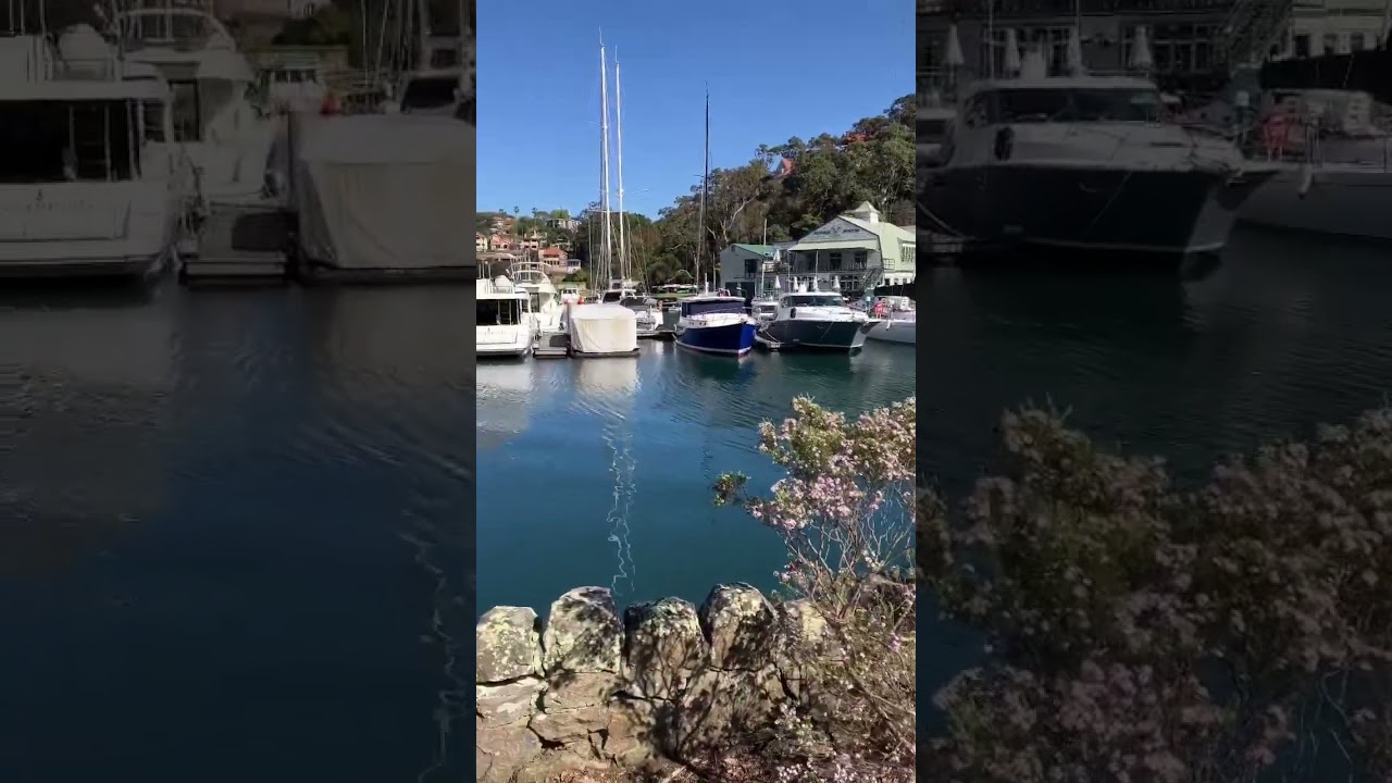 Mosman Bay Marina had a nice selection of boats