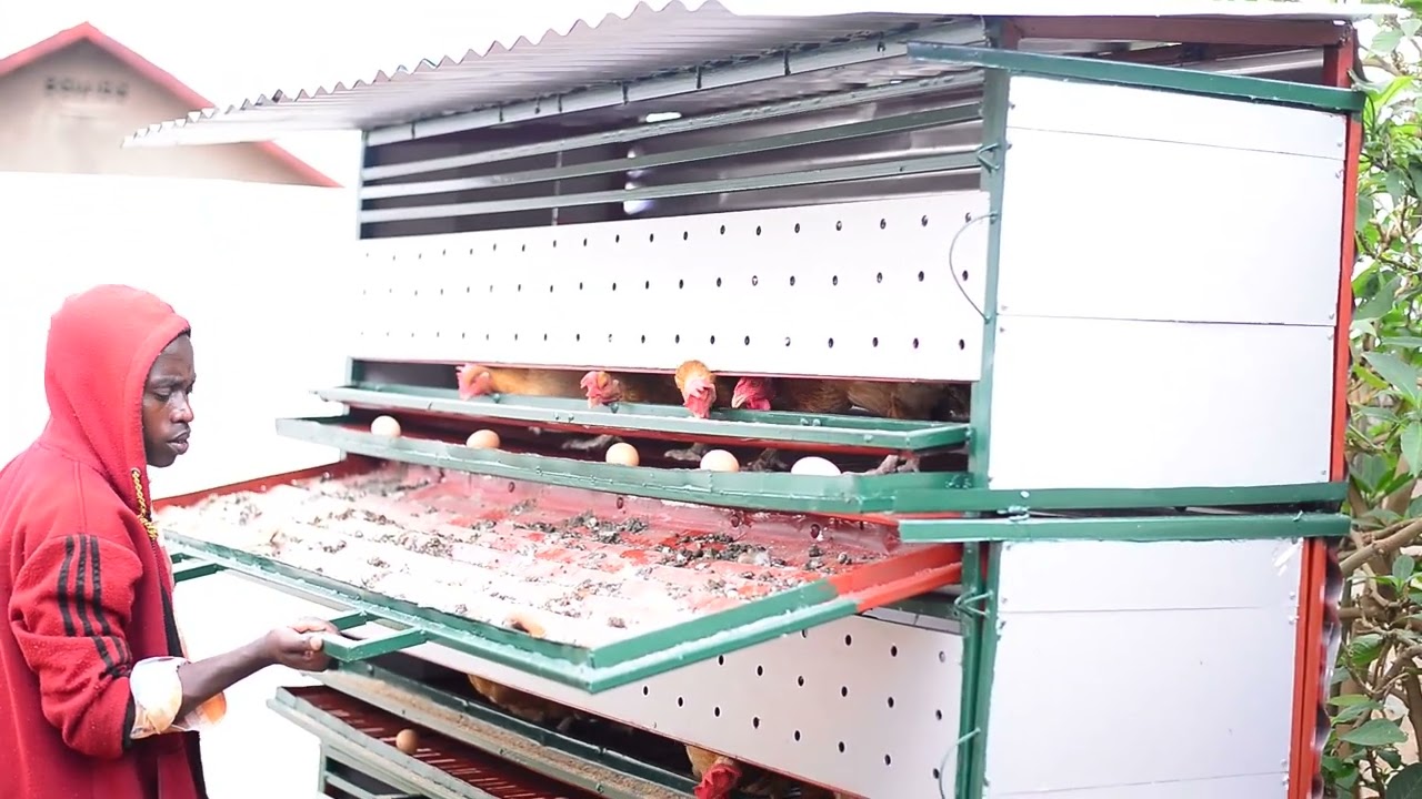 Noneho RUTEC Yazanye Ikiraro K'inkoko Kigezehwo K'icyuma