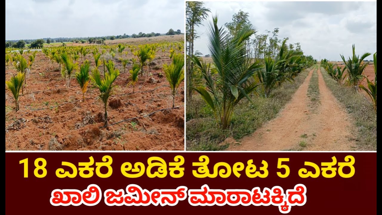 General Property Agriculture Land Sale Near By Parashurampur Challakere Taluk Chitradurga District