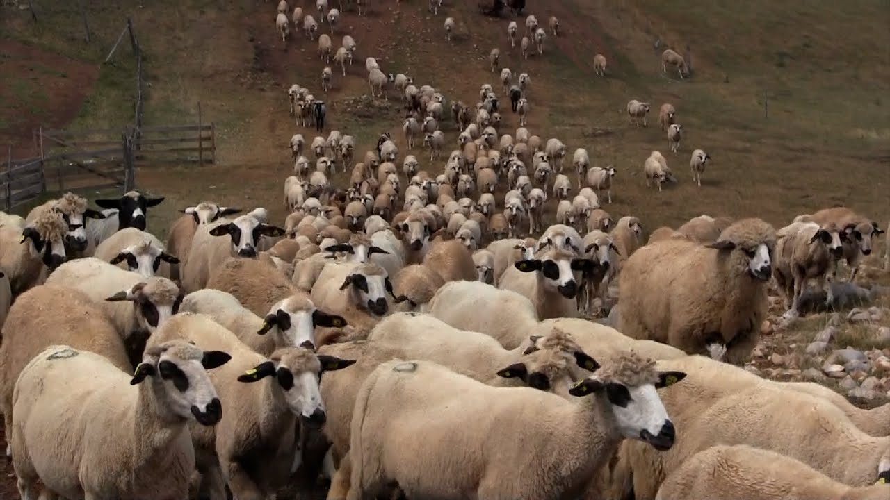 Tuga na Pešteri u selu Bioc Stada bez vode