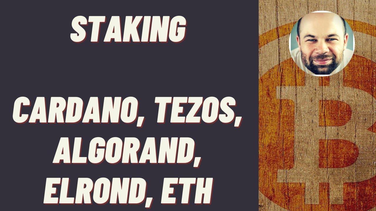 STAKING - Jak stakować CARDANO, TEZOS, ALGORAND i inne