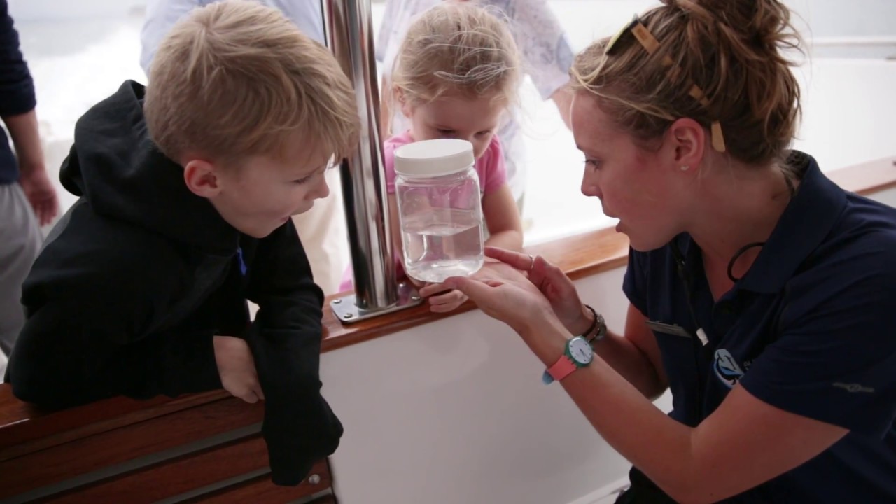 Conservation, Research & Sustainability | Auckland Whale & Dolphin Safari