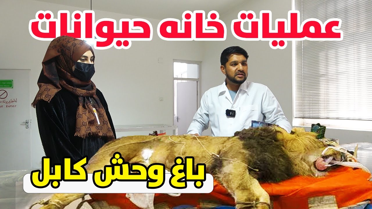گزارش ویژه از عملیات خانه حیوانات در باغ  وحش کابل / Kabul Zoo