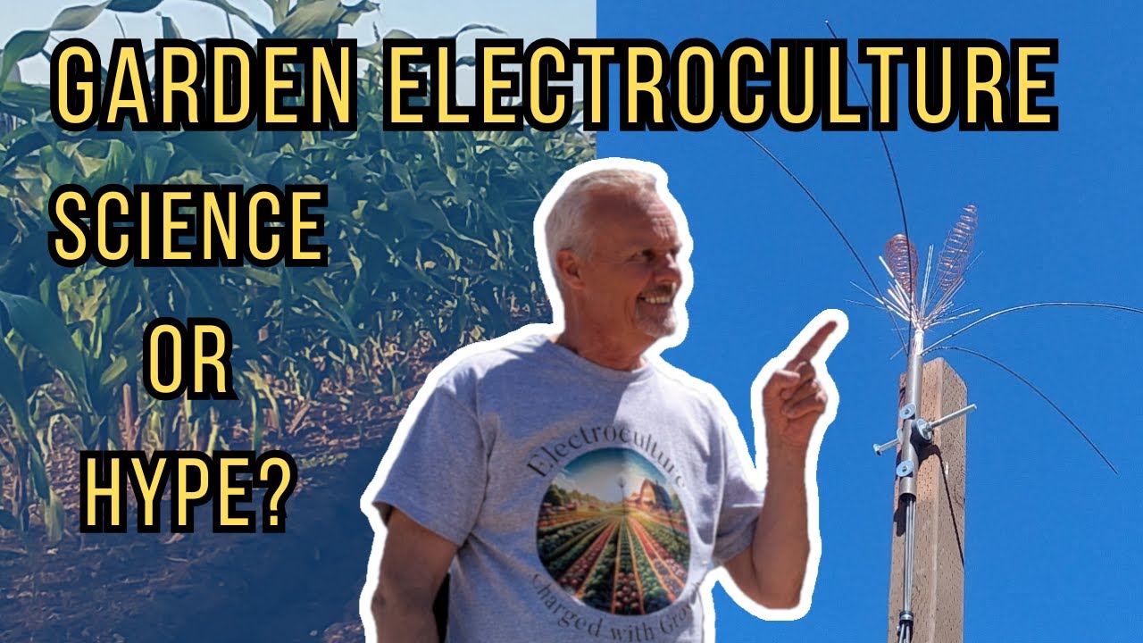 Garden Electroculture - Does It Work?